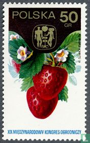 Strawberry for sale