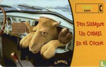 Ten Siempre Un Camel esperándote.  