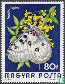 Papillons acheter