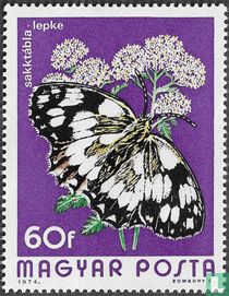 Papillons acheter
