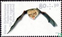 Bats