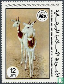 Animaux rares