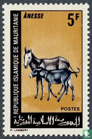 Animaux domestiques