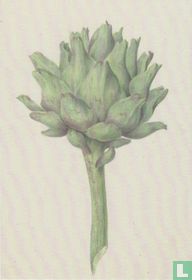 Artisjok (Artichoke), 1797