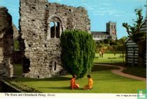 The ruins and Christchurch Priory