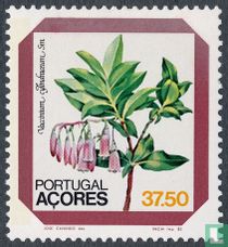 Fleurs acheter