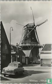 Wolvega "Windlust"