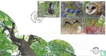 Experience nature - De Wieden
