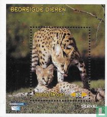 Bedreigde dieren: serval