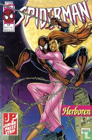 Spiderman 17