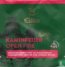 Kaminfeuer 
