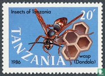 Insects