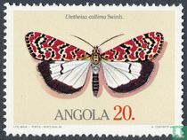 Papillons acheter