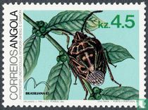 Insectes