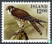 Oiseaux acheter