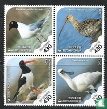 Les oiseaux