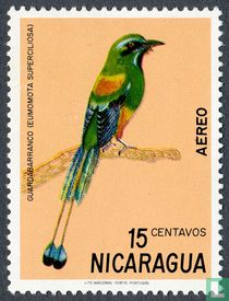 Oiseaux acheter