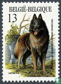 Races canines belges acheter