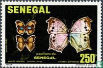 Papillons