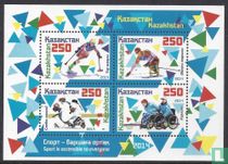 Jeux paralympiques d'hiver, Sotchi