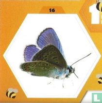 Sticker 16