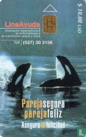 Pareja egura pareja feliz
