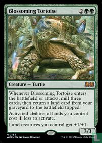 Blossoming Tortoise