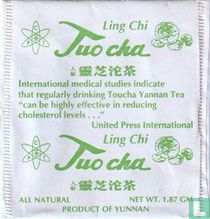 Tuocha tea bags catalogue