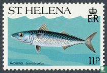 Animaux marins