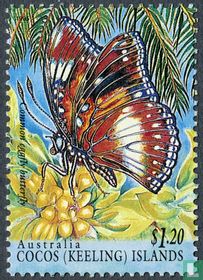 Insects