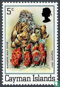Flore et faune