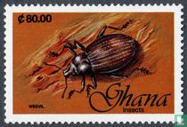 Insectes
