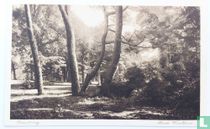Domburg , Park Westhove.