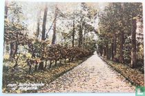 Park Berkenbosch bij Domburg
