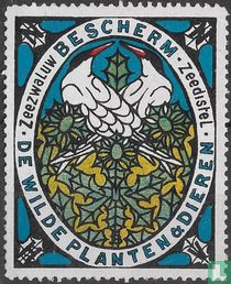 Zeezwaluw en zeedistel