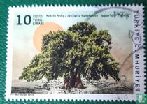 Monumental trees