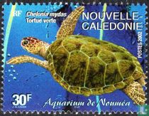 Zeeschildpad