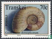 Fossils