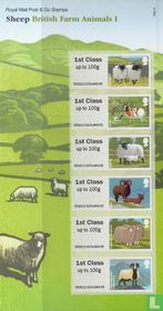 Sheep