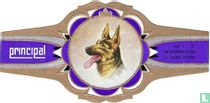 Duitse Herder