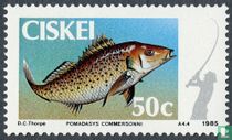 Vissen