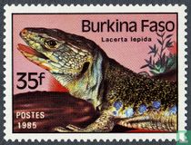 reptiles and amphibians