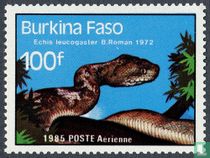 reptiles and amphibians