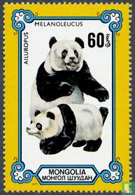 Giant panda