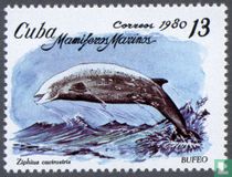 Marine Mammals