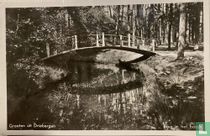 Brug in het bosch