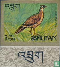 Les oiseaux