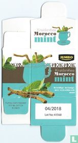 Morocco mint 