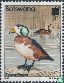 Birds with overprint