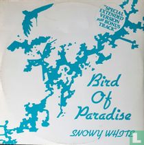 Bird of Paradise